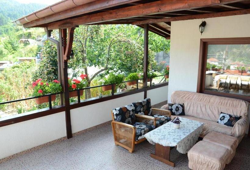 膳宿费 къща за гости солакови