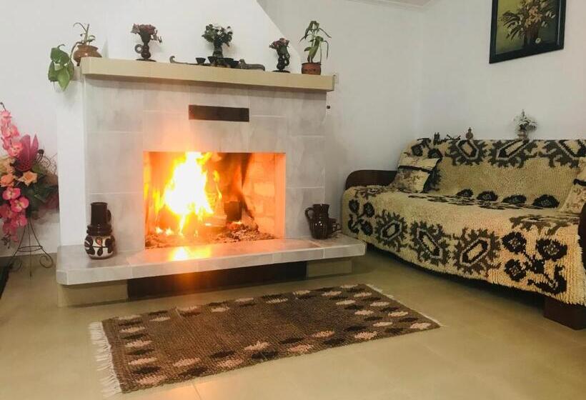 膳宿费 къща за гости солакови