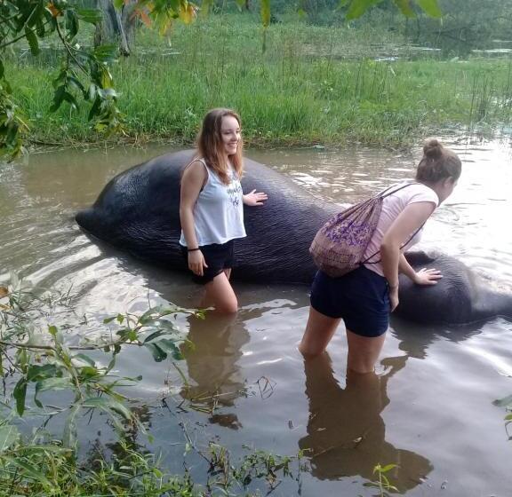 Пансион Dinuka Village