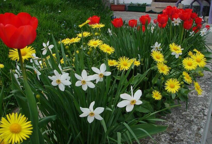 پانسیون Apartma žvan