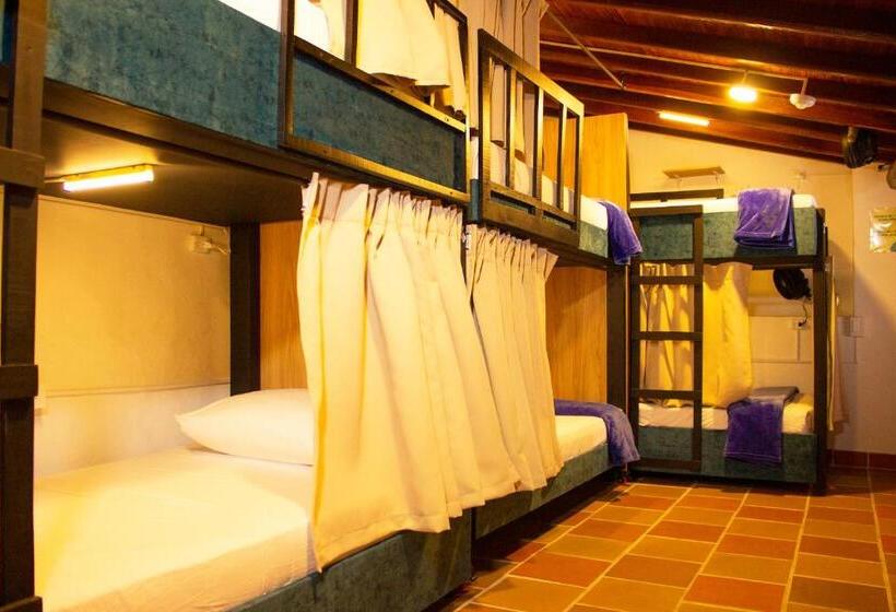 بنسيون Hostal Colombian Gold