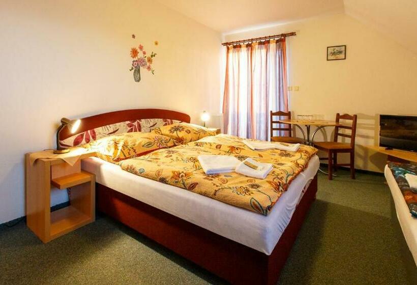 Пансион Penzion Dana