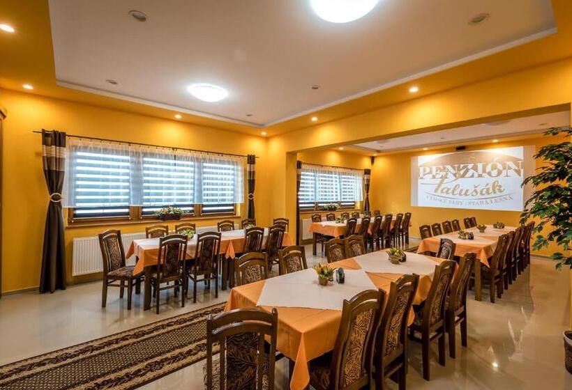 پانسیون Penzion Palusak