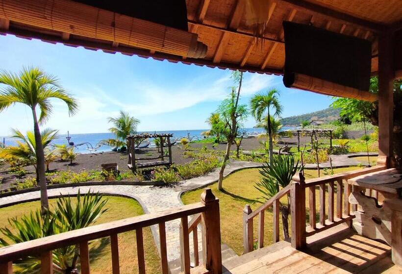 פנסיון Yogi Beach Cabin