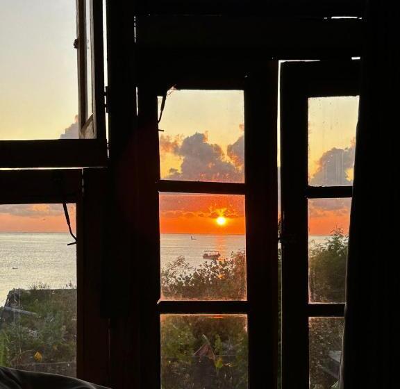 פנסיון Yogi Beach Cabin