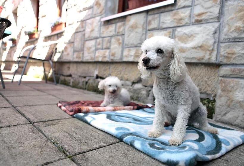 Pension U Stehlíků