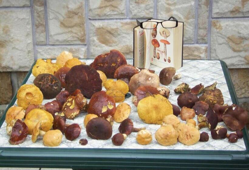 Pension U Stehlíků