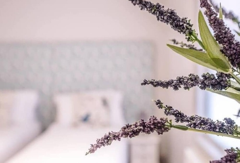 Saxon Lodge Cottage Felixstowe Air Manage Suffolk