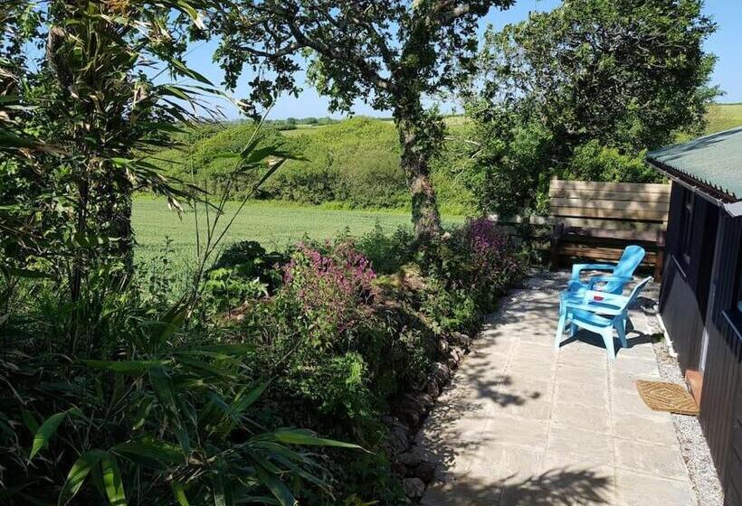 The Old Potting Shed With Hot Tub. Colan, Newquay