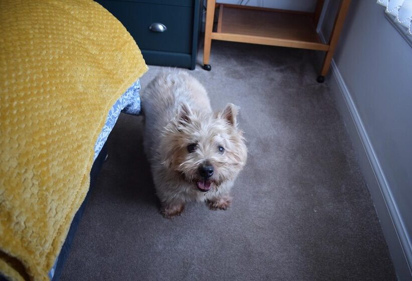 The Paisley Penthouse   Stunning View Of The Abbey