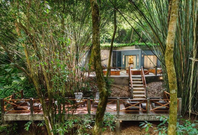 ユースホステル Pousada Chão De Folhas Spa Boutique