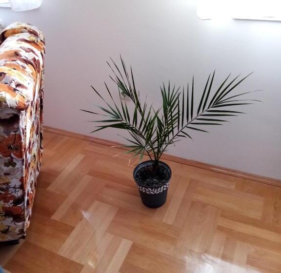 Apartman Maca