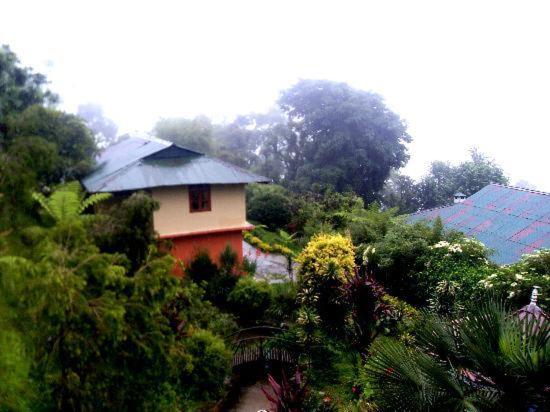 ベッドアンドブレックファースト Odyssey Stays Rumtek