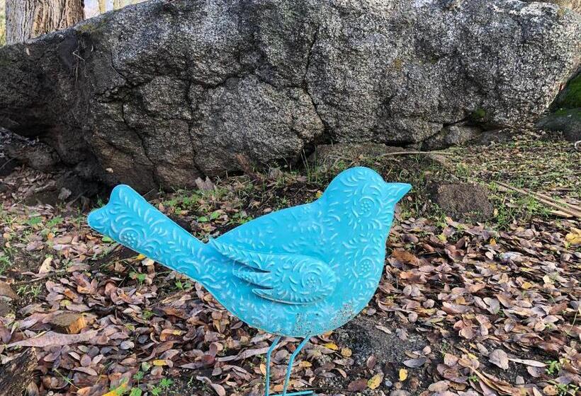 Birdwatch Cottage With River Beach Pass