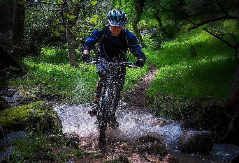 Birdwatch Cottage With River Beach Pass