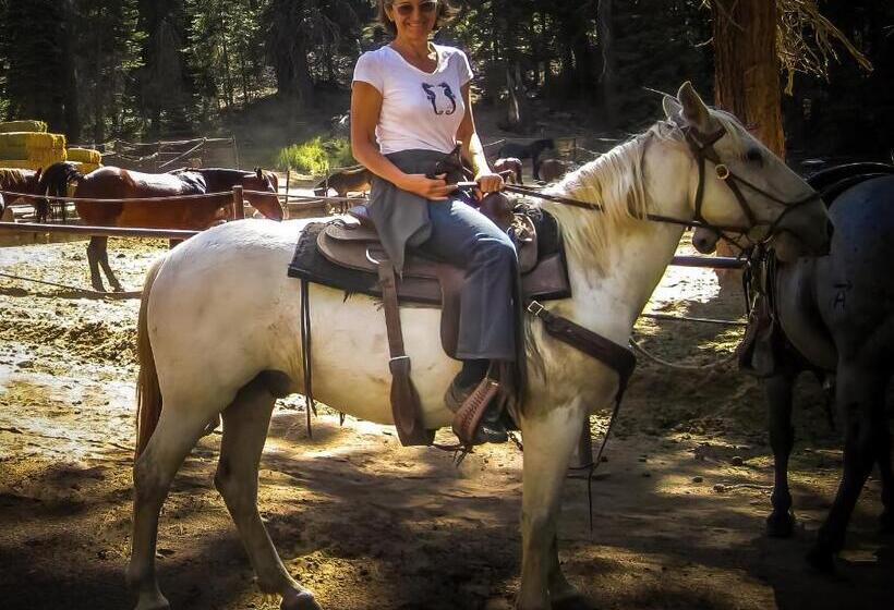 Birdwatch Cottage With River Beach Pass