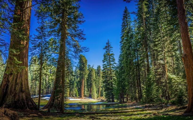 Birdwatch Cottage With River Beach Pass