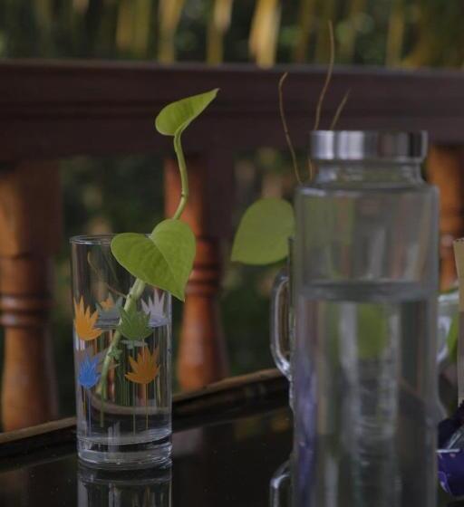 Blue Sophy Residency