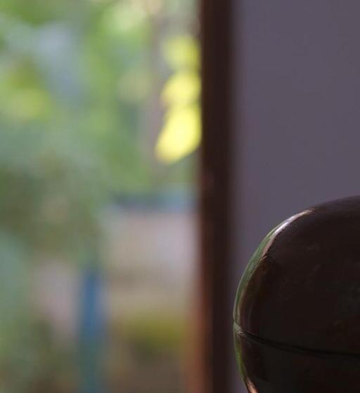 Blue Sophy Residency