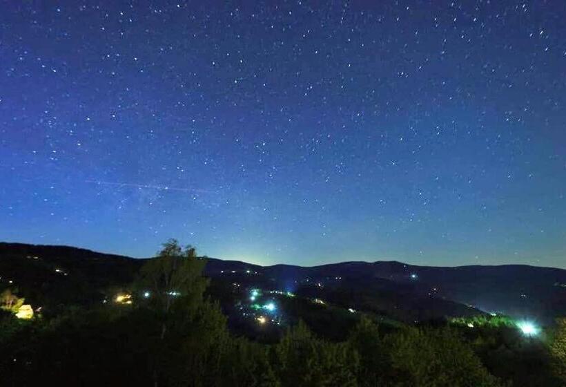 Cabana Bucuria Munților