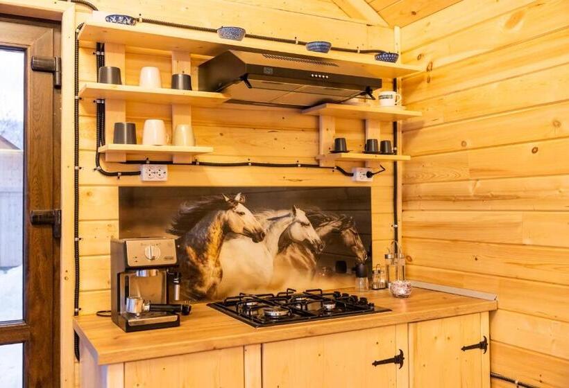 Cabana Bucuria Munților