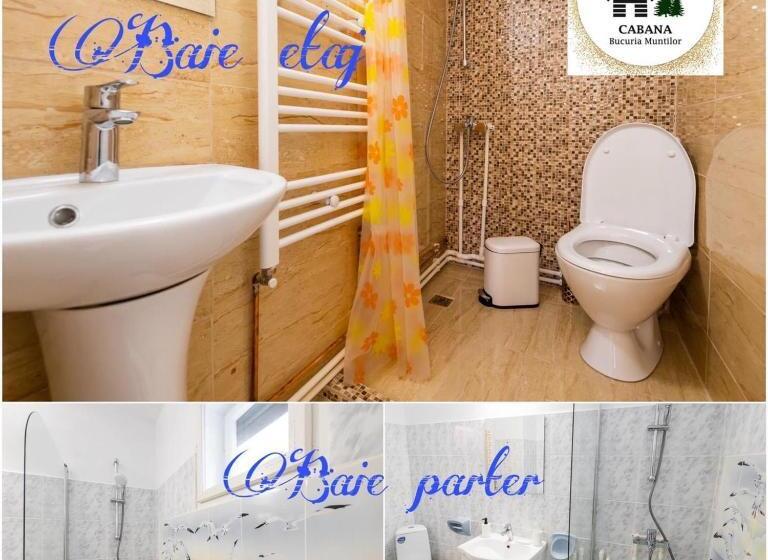 Cabana Bucuria Munților