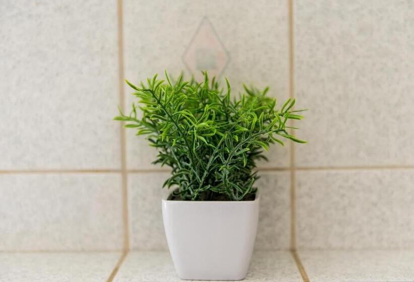 Characterful 2 Bed Apartment   Spacious & Comfy