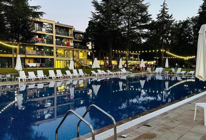 酒店 Queen Nelly Park