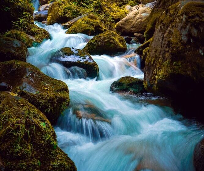 בית מלון כפרי Regenta Place Green Leaf Manali  A Centrally Heated Resort