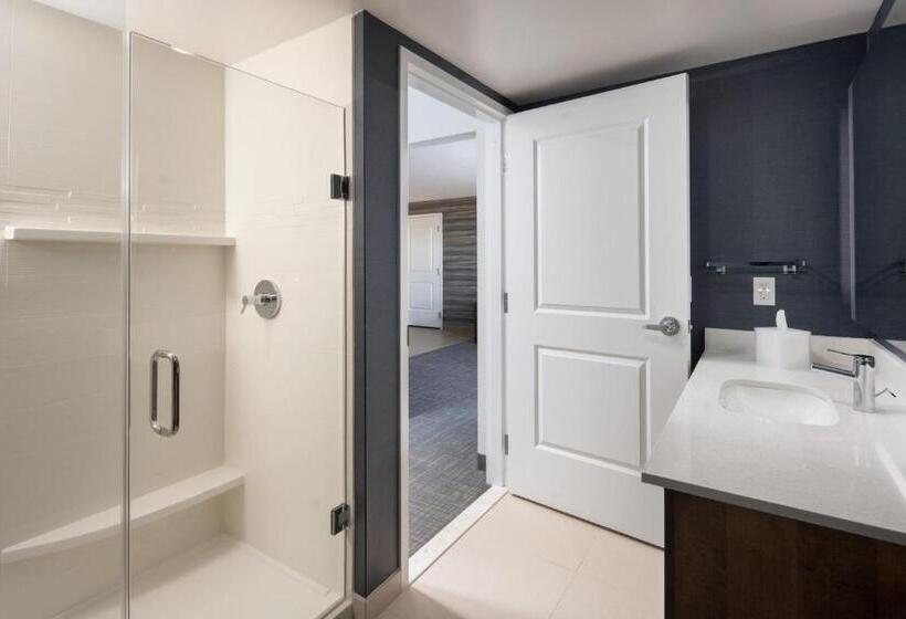 Отель Residence Inn By Marriott Tampa Wesley Chapel