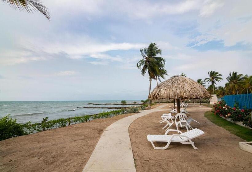 Magico Apartamento Frente Al Mar 3 Habitaciones Paz282