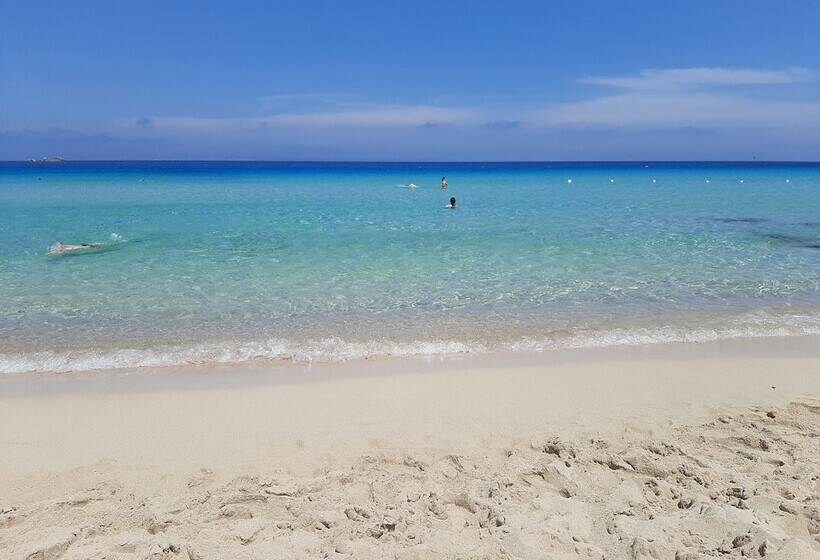 Overlooking The Sea Santa Teresa Gallura