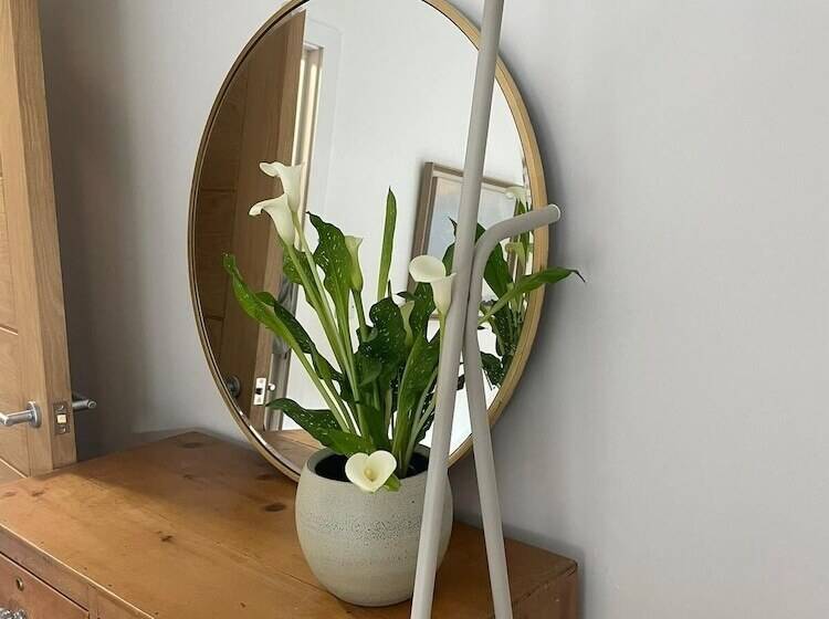 Peak Willow Apartments