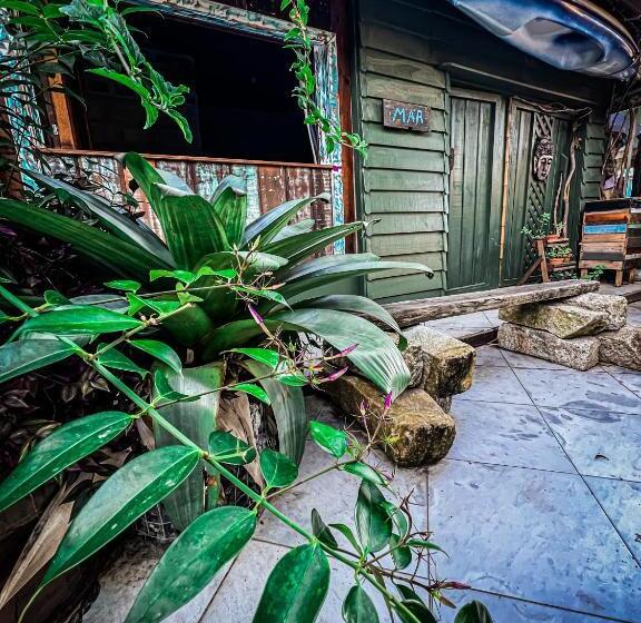 Pedramarca  Praia Da Ferrugem