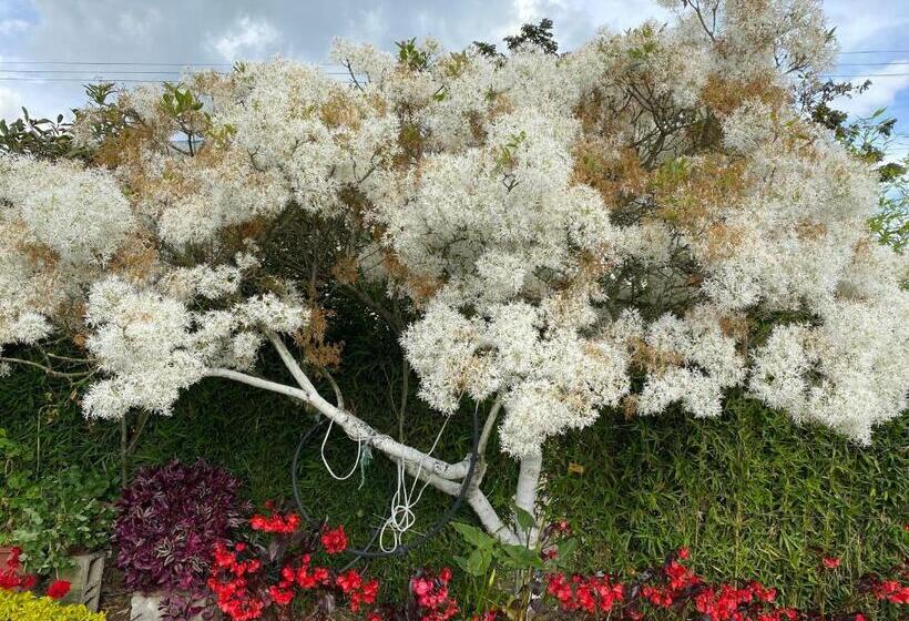 پانسیون Hospedaje El Girasol Tababela