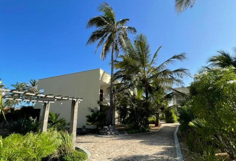 פנסיון Vila Saguaro