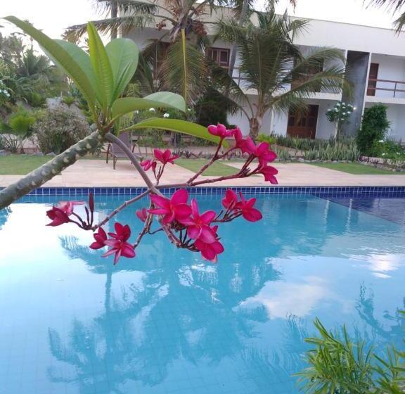 פנסיון Vila Saguaro