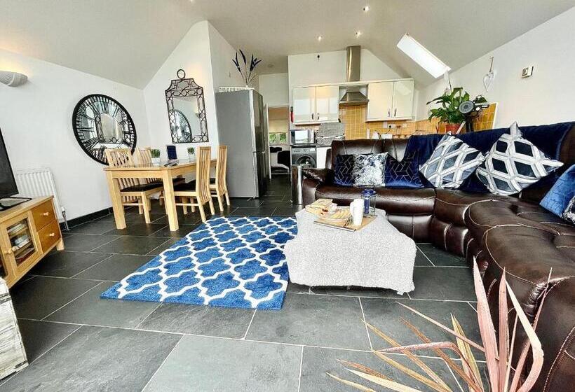 The Mermaids Watch Pendine Dog Friendly With Cymru Holidays