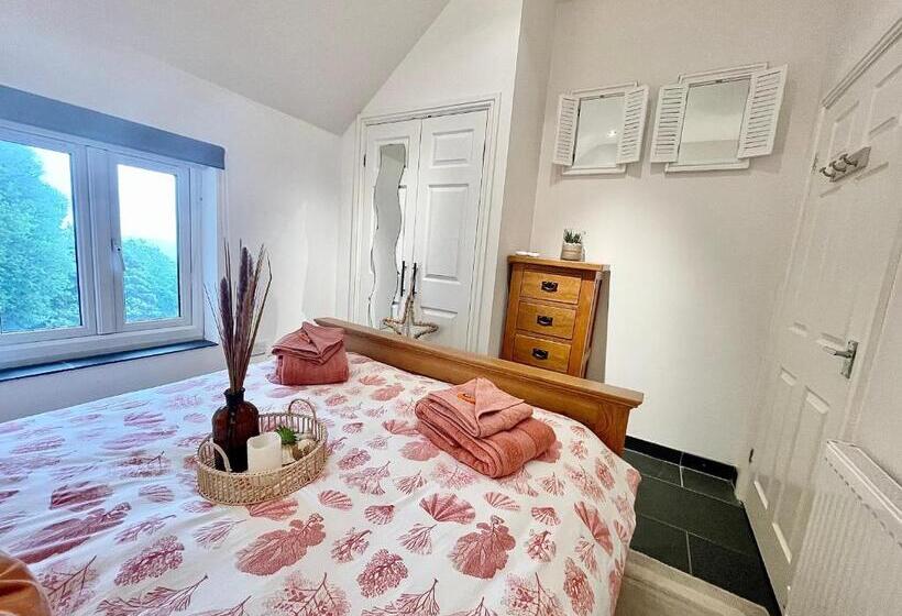 The Mermaids Watch Pendine Dog Friendly With Cymru Holidays