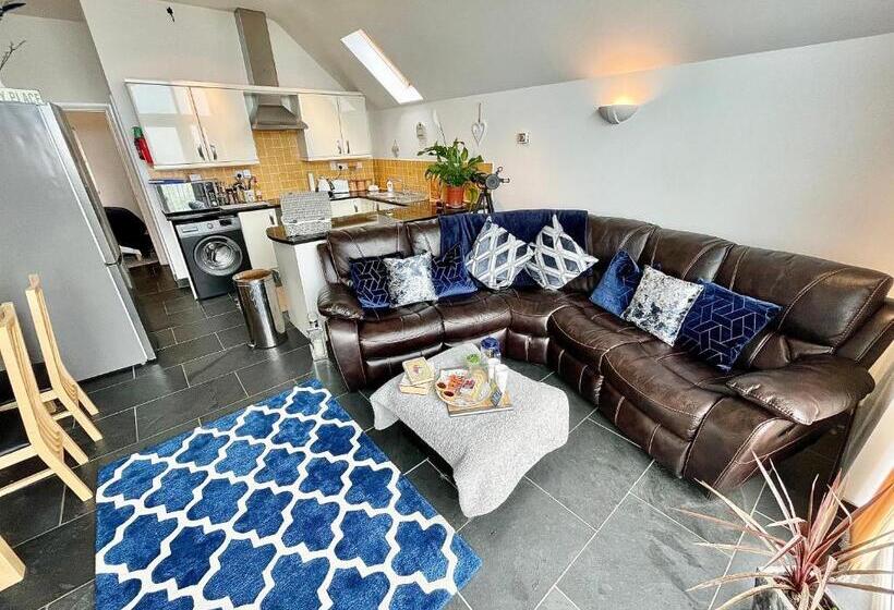 The Mermaids Watch Pendine Dog Friendly With Cymru Holidays