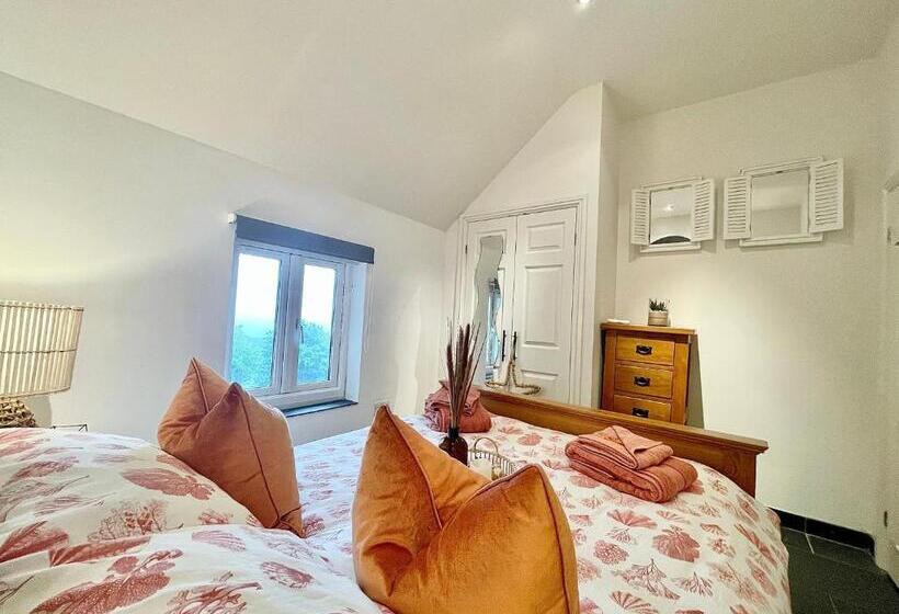 The Mermaids Watch Pendine Dog Friendly With Cymru Holidays