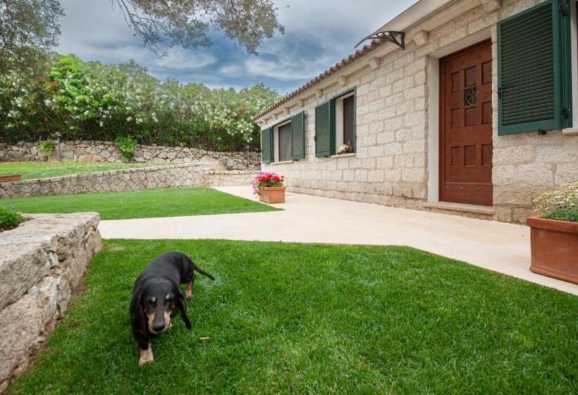 [villa Con Piscina] Nelle Colline Della Gallura