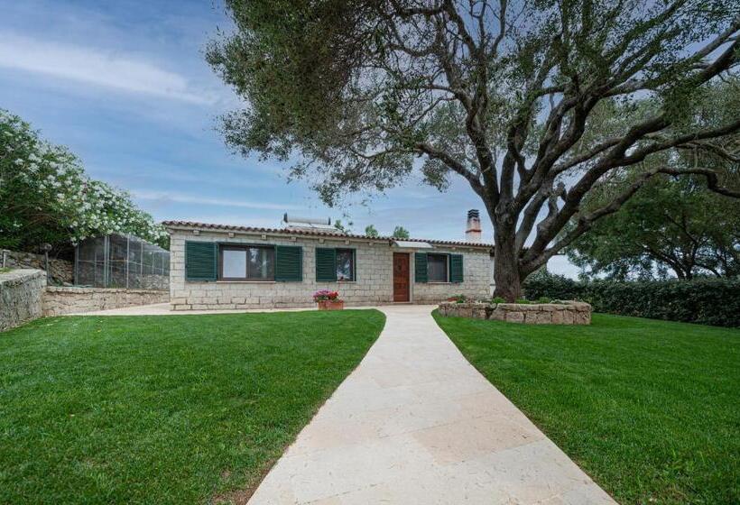 [villa Con Piscina] Nelle Colline Della Gallura
