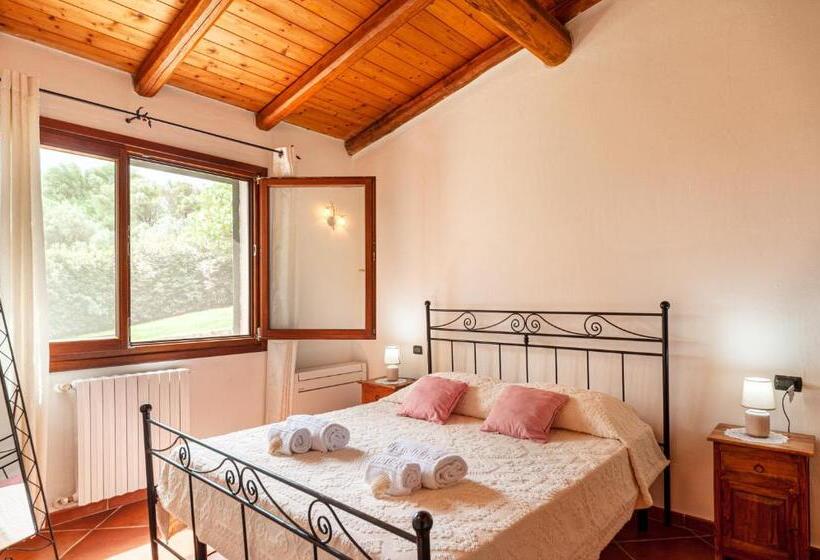 [villa Con Piscina] Nelle Colline Della Gallura