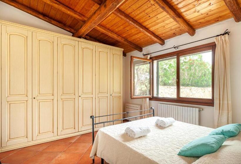 [villa Con Piscina] Nelle Colline Della Gallura