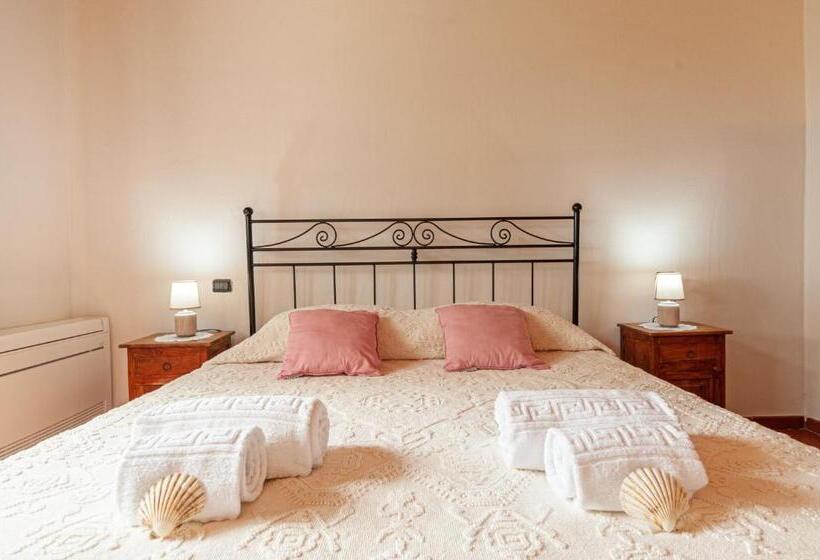 [villa Con Piscina] Nelle Colline Della Gallura