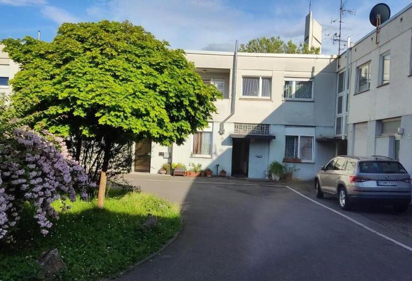 Wohnung Für Grosse Gruppe Bis 10 Person