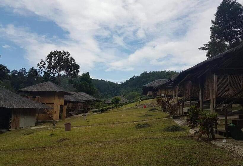 הוסטל Cxj Travelers Inn