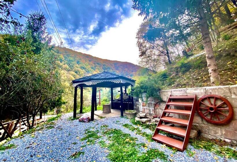 צימר Căsuța Din Pădure