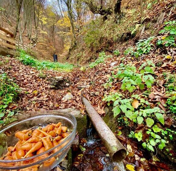 צימר Căsuța Din Pădure
